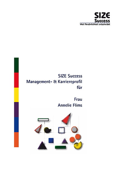 Muster für SIZE Success Karriereprofil